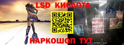 PSILOCYBIN Пушкино